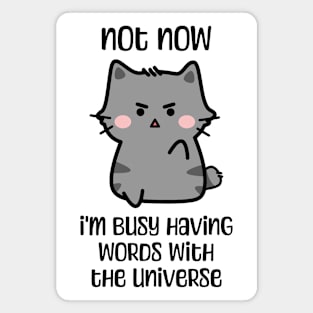 Not now, I'm busy having words with the universe angry cat design Magnet